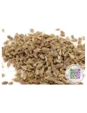 Anis vert - Pimpinella anisum