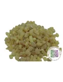 Oliban Aden - Boswellia carterii