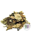 Mélisse - Melissa officinalis (BIO)