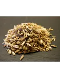 Graine de fenouil - Foeniculum vulgare