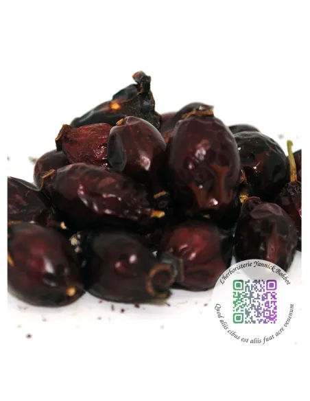 Cynorrhodon - fruits entiers - Rosa canina - "L'herboristerie Yannick Bohbot"