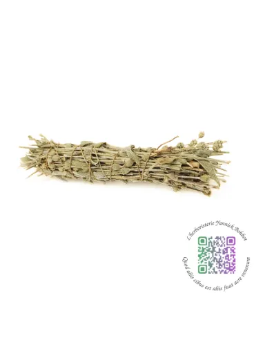 Smudge de Sideritis sp - Sideritis syriaca (thé des bergers) - "L'Herboristerie Yannick Bohbot"