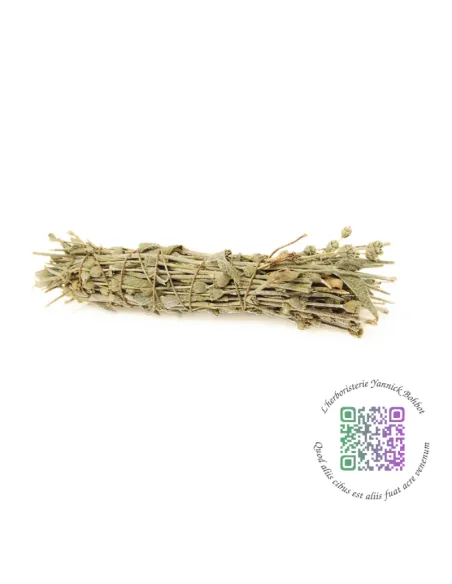 Smudge de Sideritis sp - Sideritis syriaca (thé des bergers) - "L'Herboristerie Yannick Bohbot"