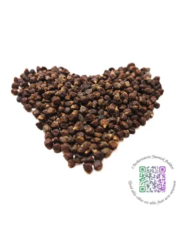 Maniguette, graine du paradis - Aframomum melegueta - "L'herboristerie Yannick Bohbot"