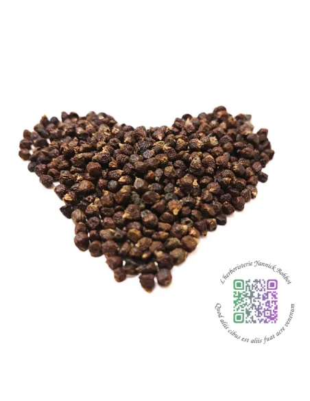 Maniguette, graine du paradis - Aframomum melegueta - "L'herboristerie Yannick Bohbot"