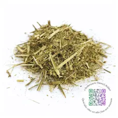 Sisymbre (Sisymbrium officinale) - "L'herboristerie Yannick Bohbot"