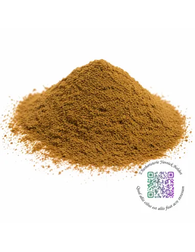 Épine-vinette - racine - Berberis vulgaris -  "L'Herboristerie Yannick Bohbot"