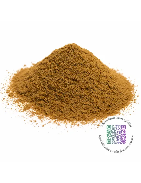 Épine-vinette - racine - Berberis vulgaris -  "L'Herboristerie Yannick Bohbot"