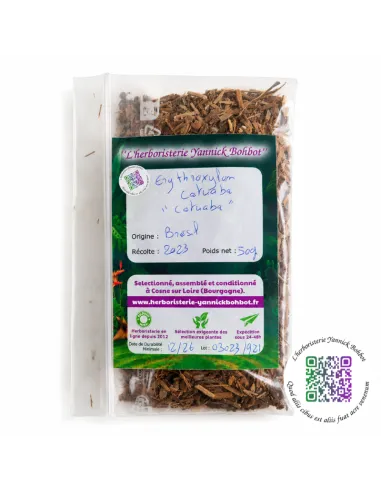 Catuaba (Erythroxylum catuaba) – Écorce séchée du Brésil – "L'Herboristerie Yannick Bohbot"