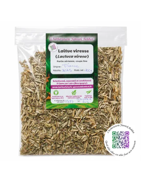 Laitue vireuse séchée (lactuca virosa) | 100 g, origine France