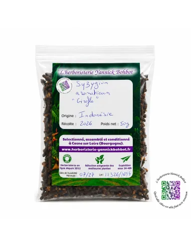 Clou de girofle - Syzygium aromaticum - "L'herboristerie Yannick Bohbot"