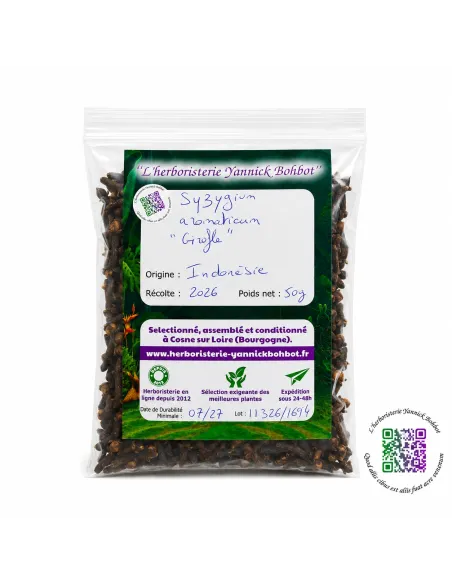 Clou de girofle - Syzygium aromaticum - "L'herboristerie Yannick Bohbot"