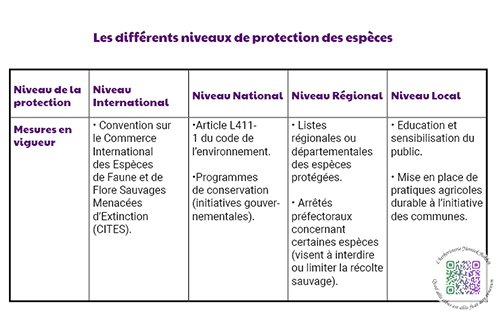 Les différents niveaux de protection des plantes en France et dans le Monde